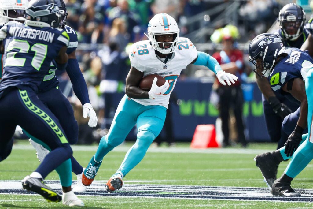 miami dolphins