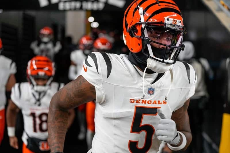 Tee Higgins