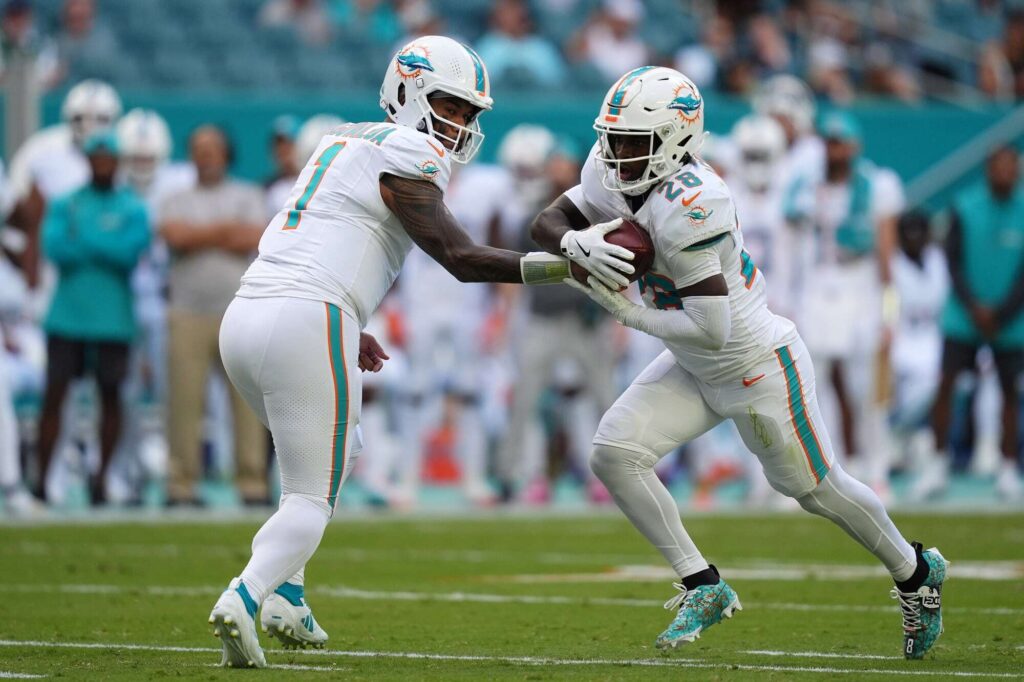 miami dolphins
