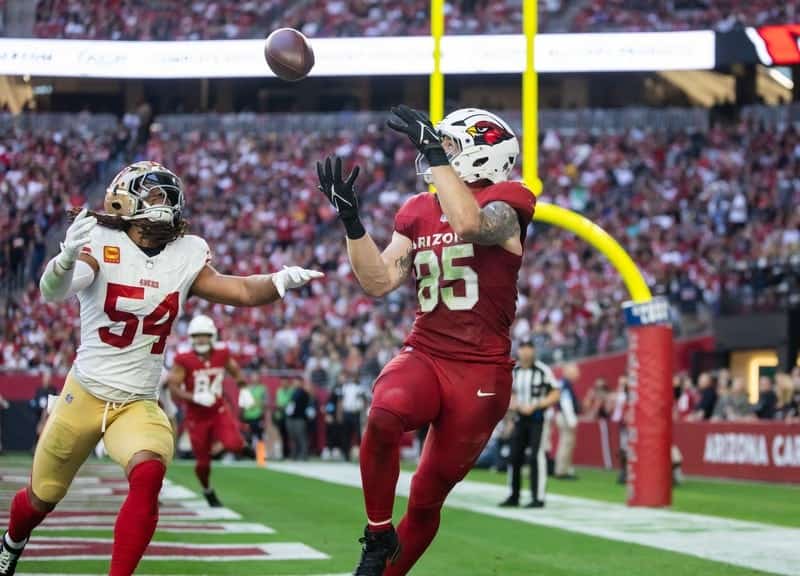 Arizona Cardinals