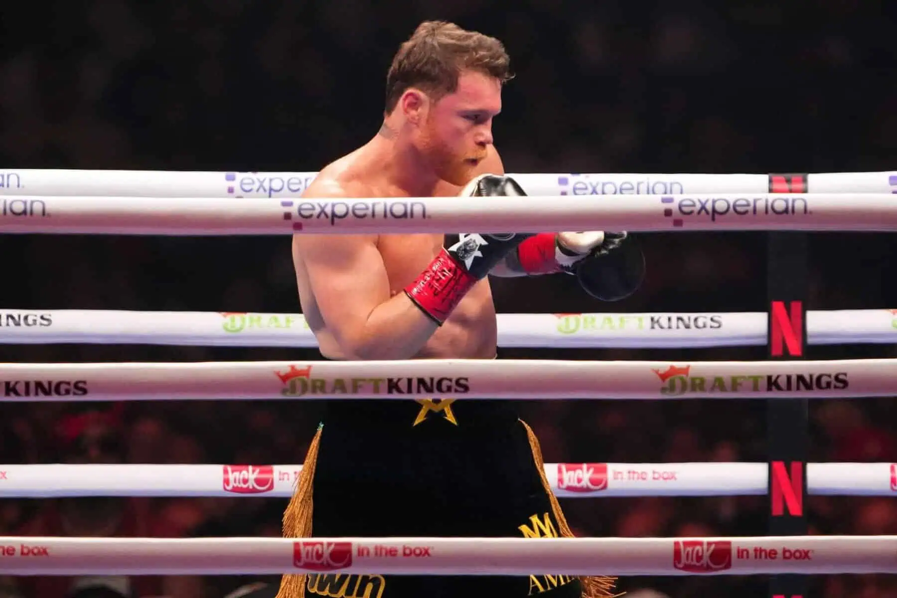 Canelo Alvarez at Allegiant Stadium. By: Joe Camporeale- Imagn Images