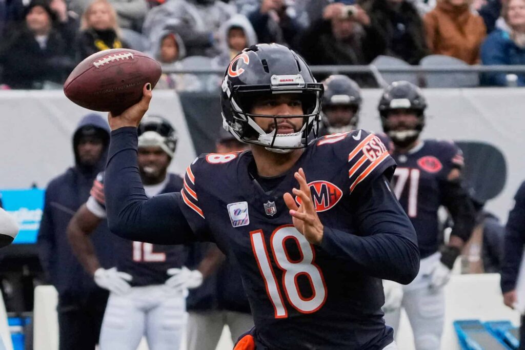 Bears