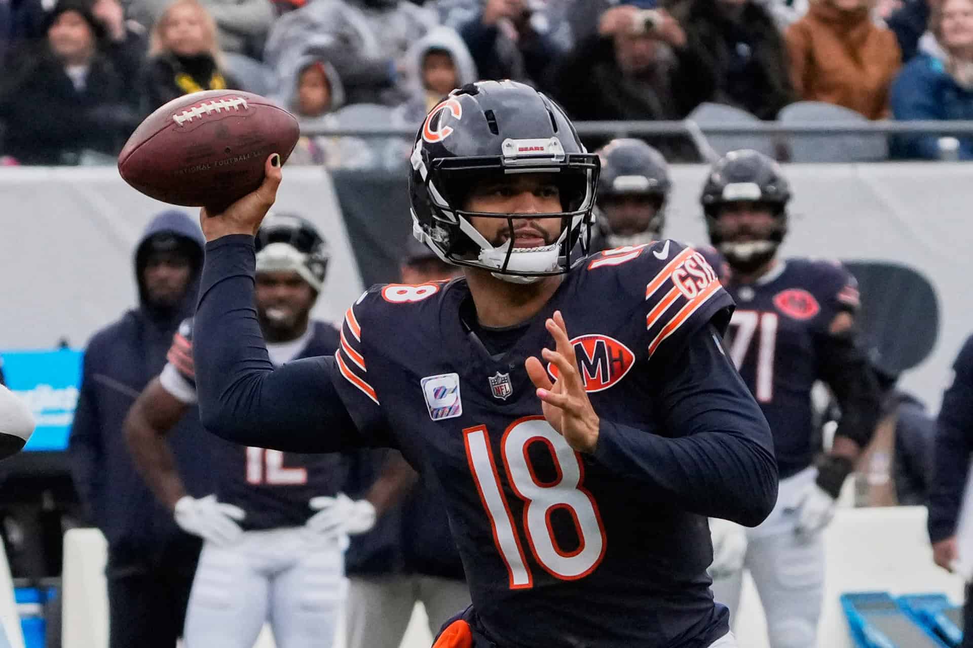 Bears