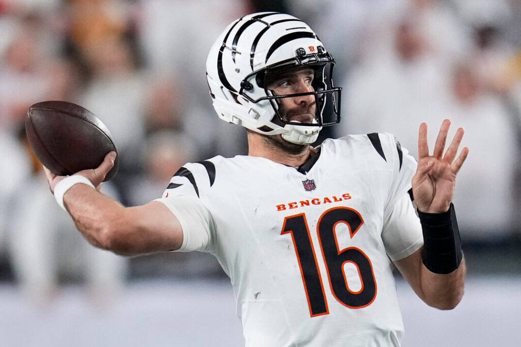 cincinnati bengals