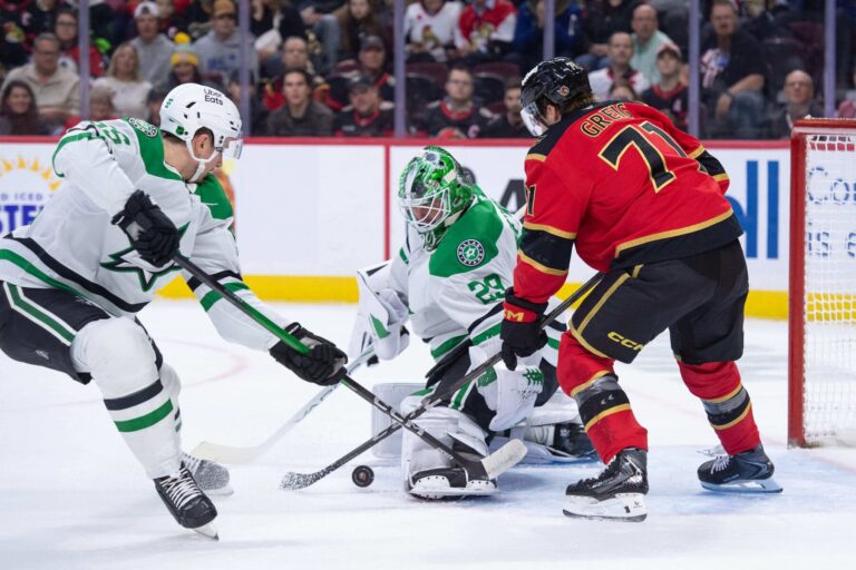 Dallas Stars