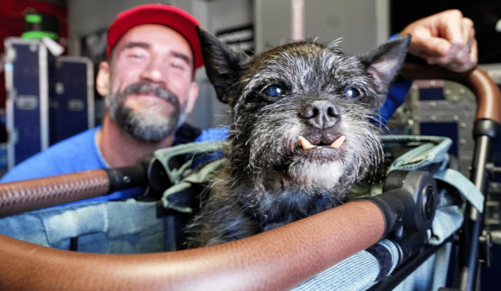 CM Punk Larry The Dog