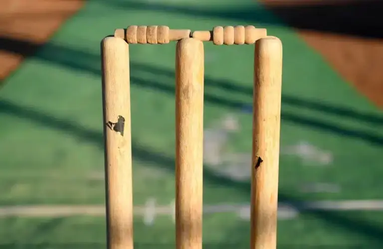 Pakistan cricket wickets