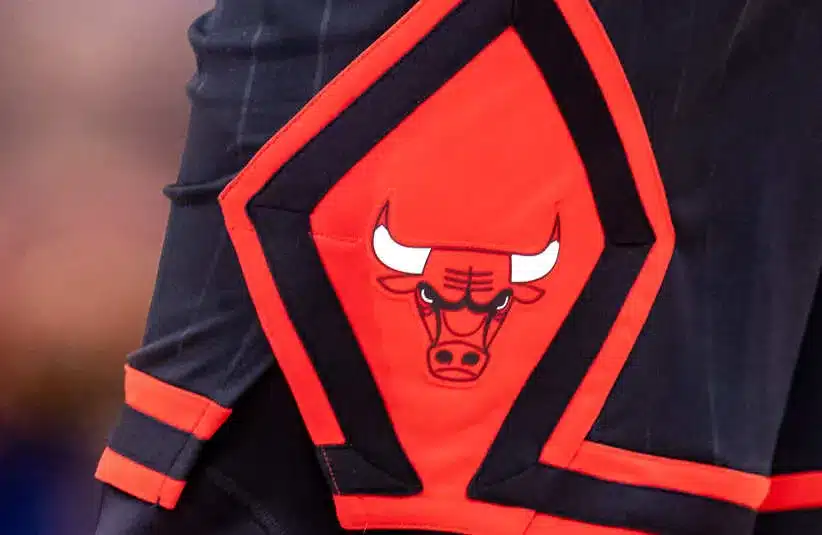 Detailed view of the Chicago Bulls logo. Stacey King